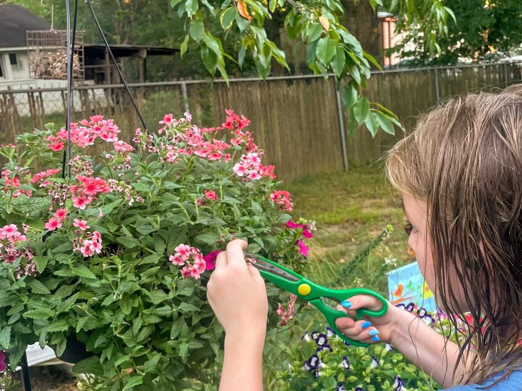 Gardening with Kids: Fun Ways to Introduce Little Ones to Nature